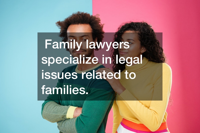 Family-lawyers-specialize-in-legal-issues-related-to-families..jpg