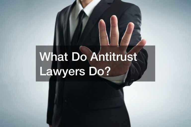 What Do Antitrust Lawyers Do?