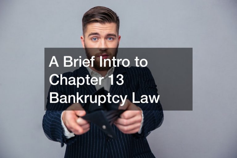 A Brief Intro to Chapter 13 Bankruptcy Law